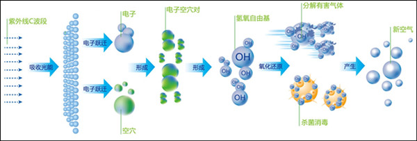 有機廢氣處理合作廠家工藝流程圖